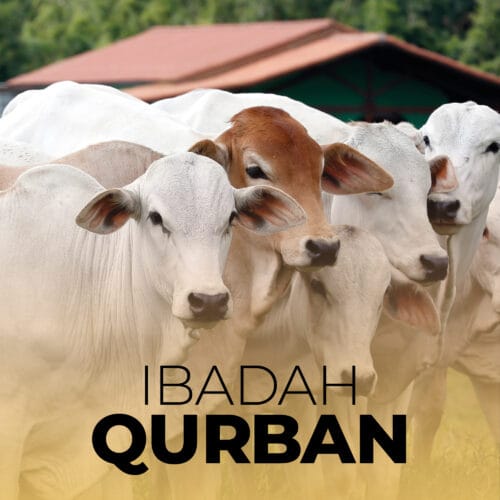 ibadah korban